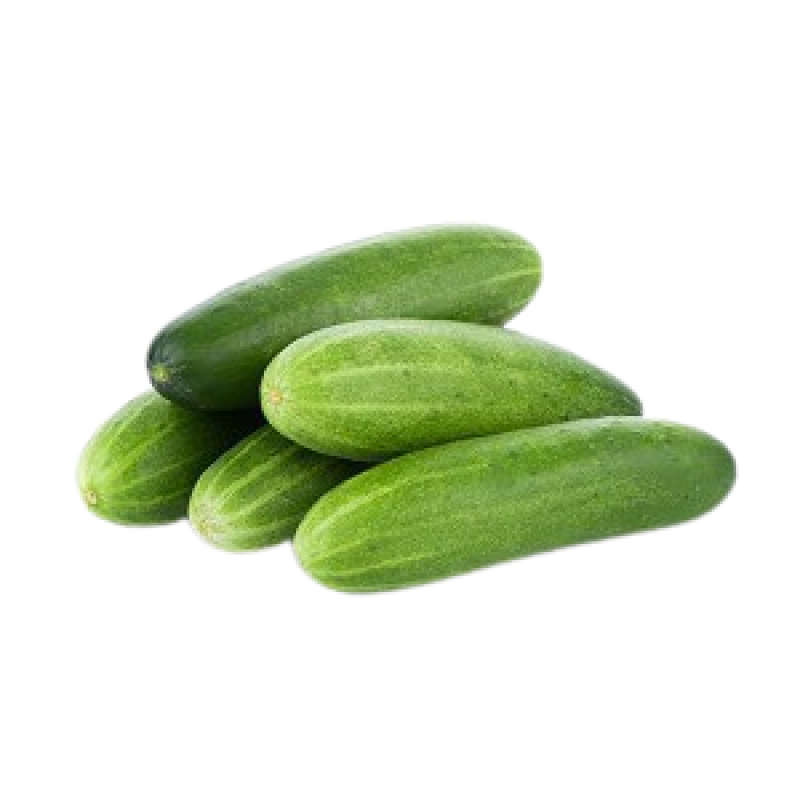 Cucumber (Matango)
