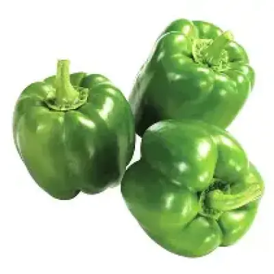 Green Bell Pepper (Hoho Kijani)