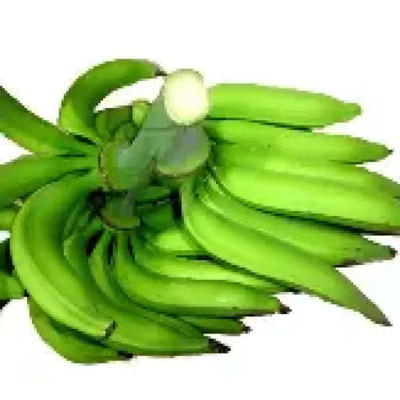 Plantain (Ndizi Mzuzu)