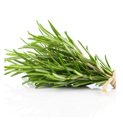 Rosemary